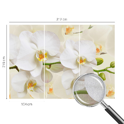 Självhäftande fototapet med motiv av blommor