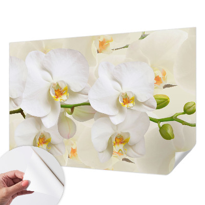 Självhäftande fototapet med motiv av blommor