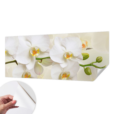 Självhäftande fototapet med motiv av blommor