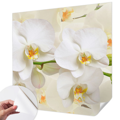 Självhäftande fototapet med motiv av blommor