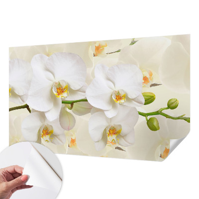 Självhäftande fototapet med motiv av blommor