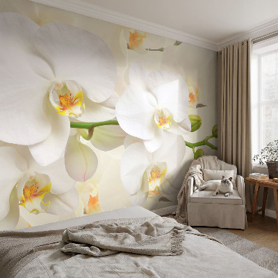 Självhäftande fototapet med motiv av blommor