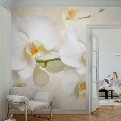 Självhäftande fototapet med motiv av blommor