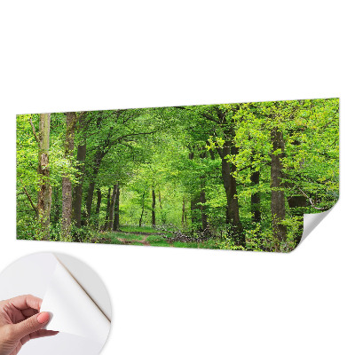 Självhäftande fotovägg med motiv av en skogsstig