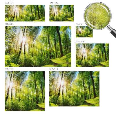 Peel and stick fototapet Skogsljus