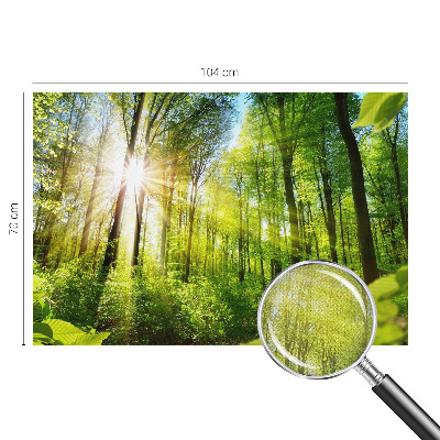 Peel and stick fototapet med motiv av skog i mjukt ljus
