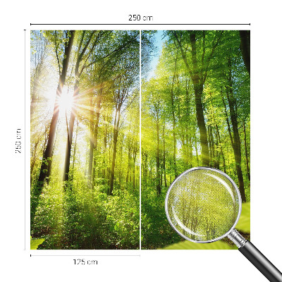 Peel and stick fototapet med motiv av skog i mjukt ljus