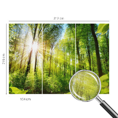 Peel and stick fototapet med motiv av skog i mjukt ljus