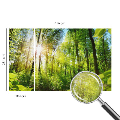 Peel and stick fototapet med motiv av skog i mjukt ljus