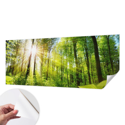 Peel and stick fototapet med motiv av skog i mjukt ljus