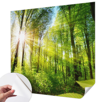Peel and stick fototapet med motiv av skog i mjukt ljus