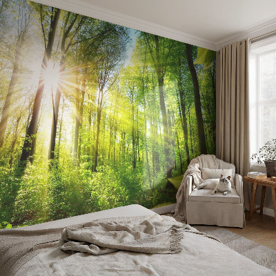 Peel and stick fototapet med motiv av skog i mjukt ljus