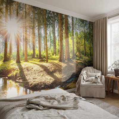 Fototapet barn med motiv av en skogsidyll