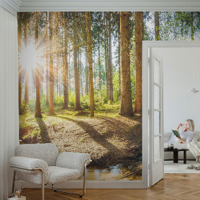 Fototapet barn Skogsidyll