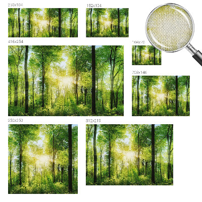 Självhäftande fototapet med motiv av skog i lugna färger