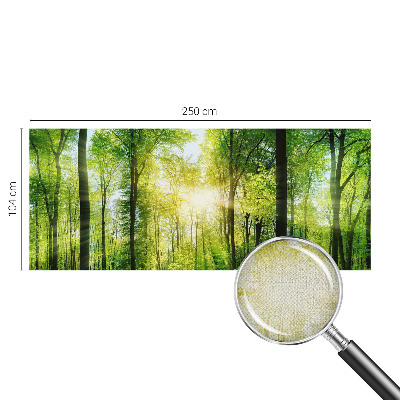 Självhäftande fototapet med motiv av skog i lugna färger