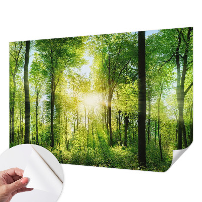 Självhäftande fototapet med motiv av skog i lugna färger