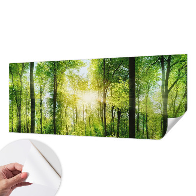 Självhäftande fototapet med motiv av skog i lugna färger