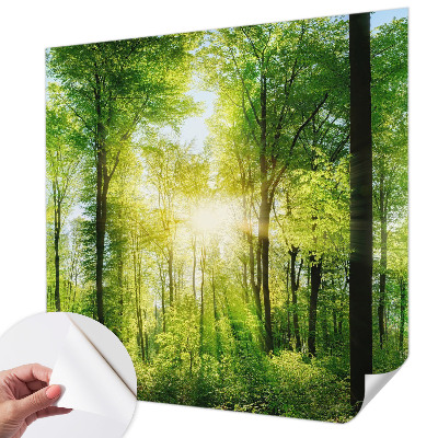 Självhäftande fototapet med motiv av skog i lugna färger