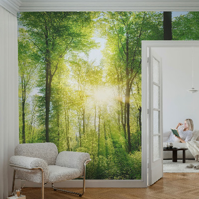Självhäftande fototapet med motiv av skog i lugna färger