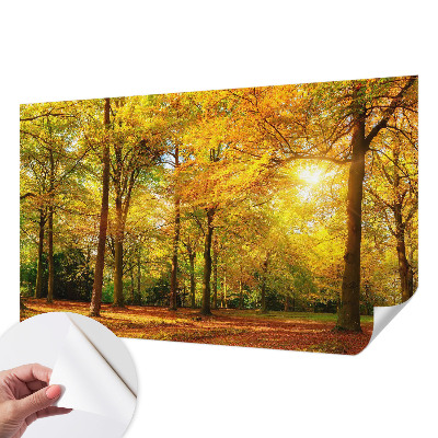 Peel and stick fototapet Gyllene blad