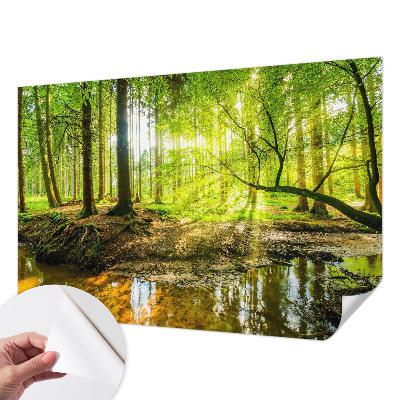 Fototapet barn Grönt landskap