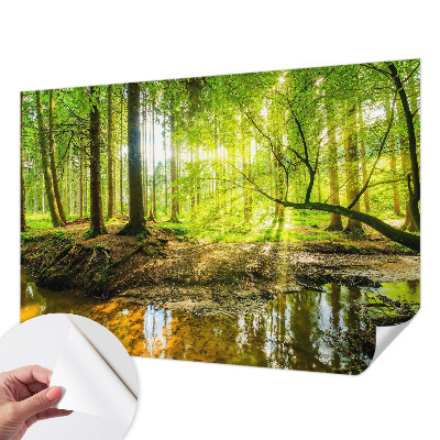 Fototapet barn med ett grönt landskap