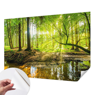 Fototapet barn med ett grönt landskap