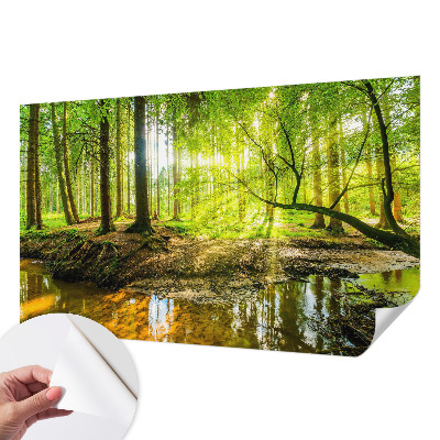 Fototapet barn med ett grönt landskap