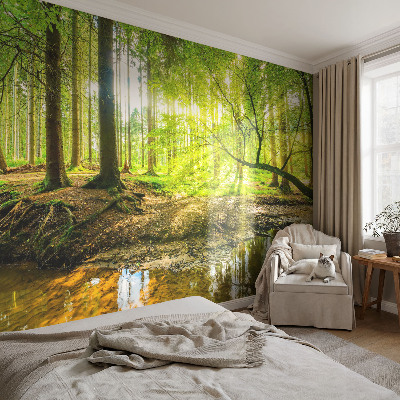 Fototapet barn med ett grönt landskap