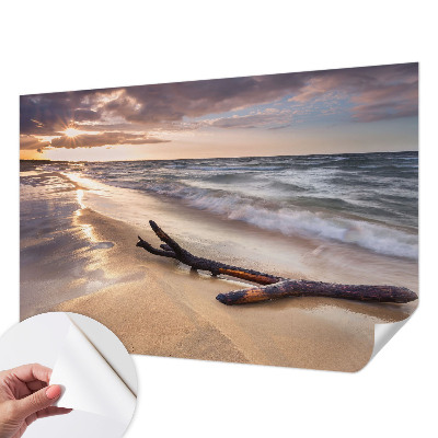 Självhäftande fotovägg Västra stranden