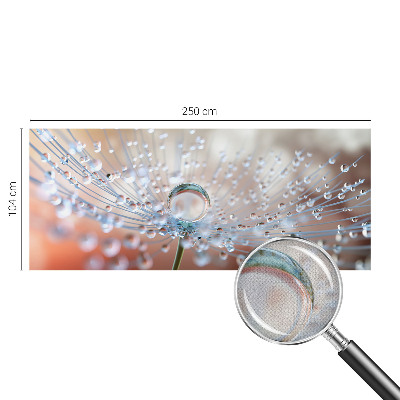 Peel and stick fototapet med motiv av en droppe på en maskros
