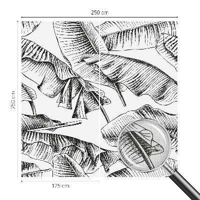 Fototapet barn Bananblad