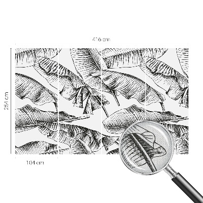 Fototapet barn Bananblad