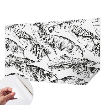 Fototapet barn Bananblad