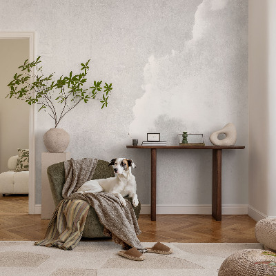 Självhäftande fototapet med ett subtilt motiv av moln