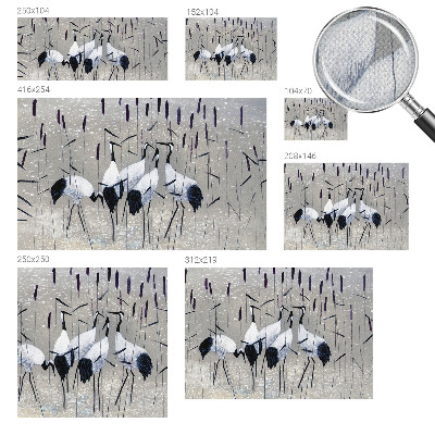 Självhäftande fototapet Harmoniska kranar