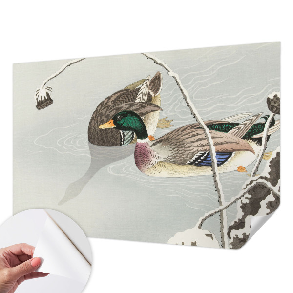 Peel and stick fototapet med motiv av lugna ankor