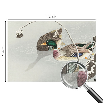 Peel and stick fototapet med motiv av lugna ankor