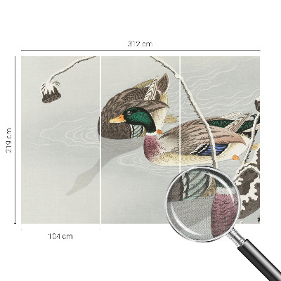 Peel and stick fototapet med motiv av lugna ankor