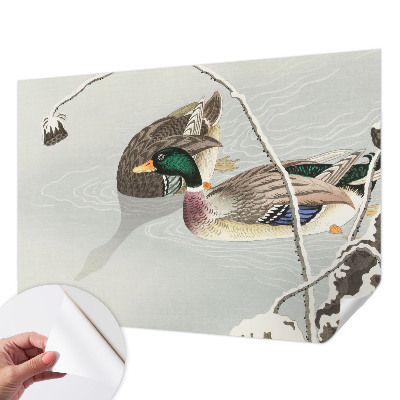 Peel and stick fototapet Lugna ankor