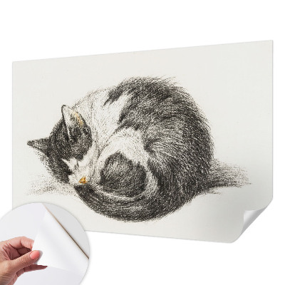 Peel and stick fototapet med motiv av en bedårande kattunge