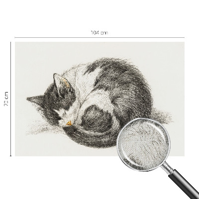Peel and stick fototapet med motiv av en bedårande kattunge