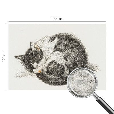 Peel and stick fototapet med motiv av en bedårande kattunge