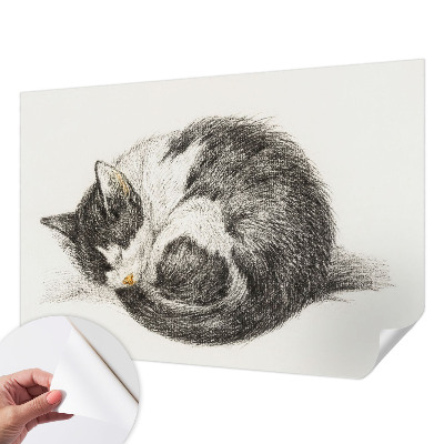 Peel and stick fototapet med motiv av en bedårande kattunge