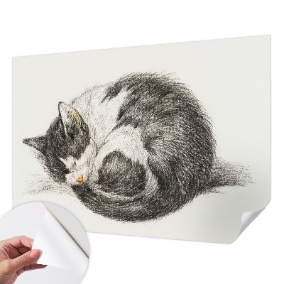 Peel and stick fototapet med motiv av en bedårande kattunge