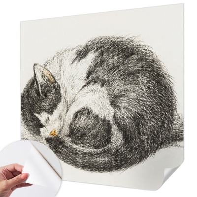 Peel and stick fototapet Bedårande kattunge