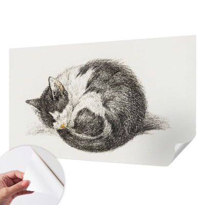 Peel and stick fototapet med motiv av en bedårande kattunge
