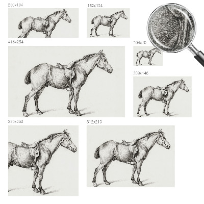 3D fototapet Skiss av en häst