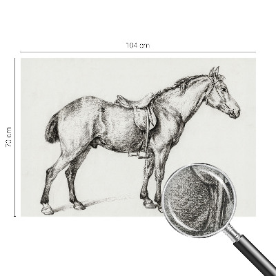 3D fototapet Skiss av en häst